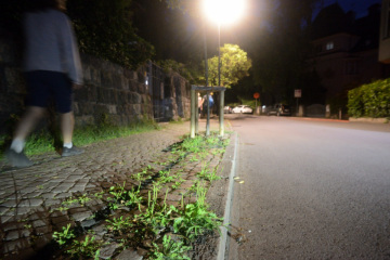 2025 Nachts in Meran