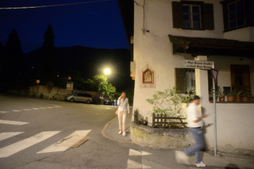 Möwe frisst einen Fisch schneller als die Gänse - Szene auf der Sandbank