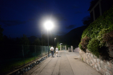 Reh Naturfotografie.Tiere in freier Wildbahn. Deutschland. 2025